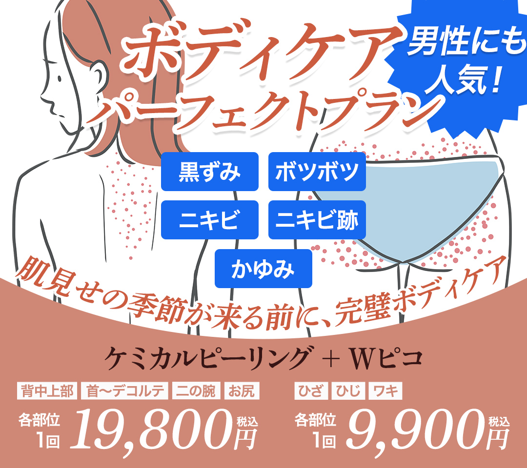 ボディケアパーフェクトプラン