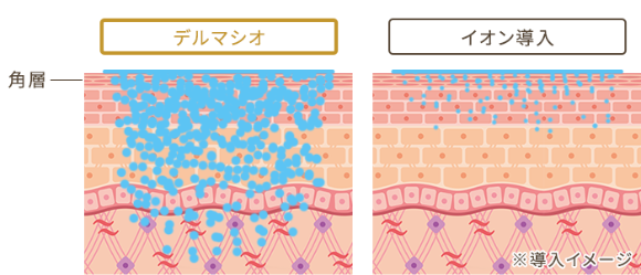 角層バリア以上の深さまで美容成分をしっかり届ける