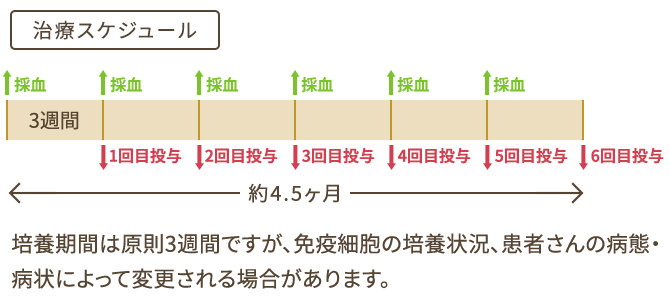 治療スケジュール