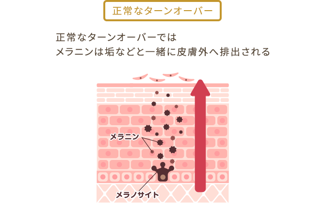 エレクトロポレーションとは？