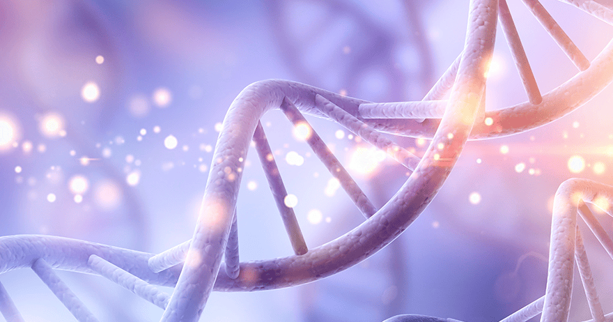 ai-CANCERCH（アイキャンサーチ）はこのような方におすすめです