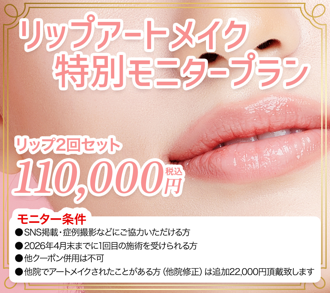 リップアートメイク2回セット 110,000円