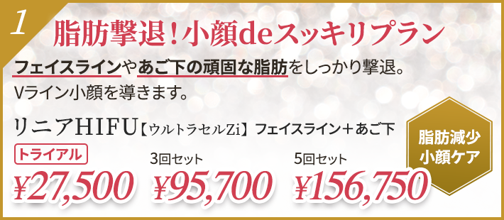 脂肪撃退！小顔deスッキリプラン リニアHIFU【ウルトラセルZi】