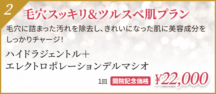 毛穴スッキリ&ツルスベ肌プラン ハイドラジェントル＋エレクトロポレーションデルマシオ